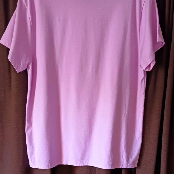 Champion - Picture 5 of 5